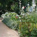 2-er Set Staudenhalter Staudenbinder Metall mit Edelrost rund Rankhilfe Ø 50cm & 40cm Modell B