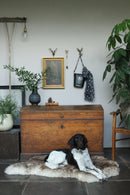 KLEIDERHAKEN ELCH Garderobe Wandhaken massiv Landhaus Vintage handgeschnitzt und handbemalt Holz und Metall-Haken 11cm hoch