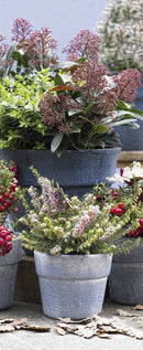 MICHELLE Textil Banner Display 75cm x 180cm Textilposter Poster Wandbild Bild Wanddekoration Fenster Schaufenster