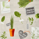 Wachstuchtischdecke "Basilic" Wachstuch Kräuter beige grün 1,4m Br. Meterware