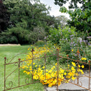 Beetzaun Gartenzaun Rankhilfe Schmetterling Eisen Rost Deko H:62 cm x L:80cm