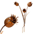 Blumenstecker Glockenblumen Blumen Rost Deko Stecker Gartendeko Stab Beetstecker 3 Blüten in Glockenform