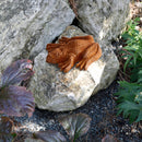 3-er Set oder einzeln Gartendeko Schildkröte Salamander und Frosch Figur Gusseisen verrostet Metall Rost Deko Teich Garten