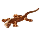 3-er Set oder einzeln Gartendeko Schildkröte Salamander und Frosch Figur Gusseisen verrostet Metall Rost Deko Teich Garten