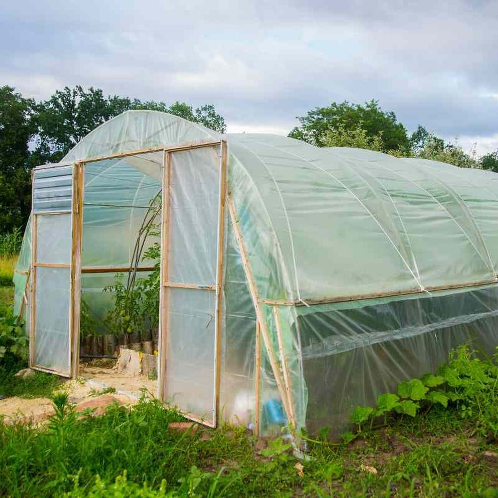 Gewächshausfolie 6m Breite - UV4 Folie Für Tomatenhaus & Folientunnel