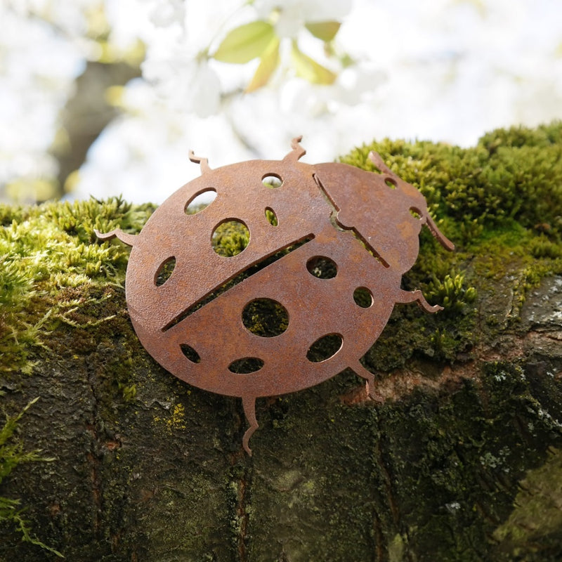 Gartendeko Käfer mit Dorn Schraube Insekt Baumtier Metall Rost Deko