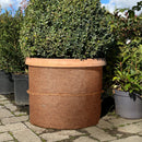 Kokosmatte 750g/m² für Blumentöpfe Kübel Frostschutz Winterschutz Abdeckung Wurzelnschutz in 0,5m Breite x 20m Länge