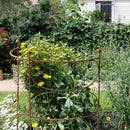 Rankgitter Staudenbinder Rankgerüst halbrund Edelrost 100 cm hoch in drei Größen