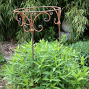 Staudenhalter Staudenbinder rund Ø 50cm Rankhilfe  Modell A Eisen Edelrost