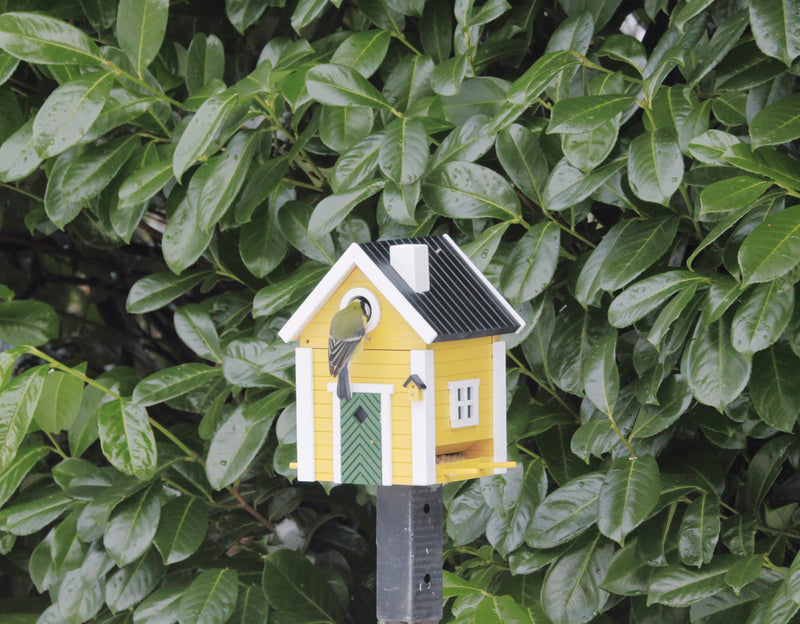 MULTIHOLK Vogelhaus Futterhaus und Nistkasten Futterstelle Futterplatz Wildvögel Garten Vogel