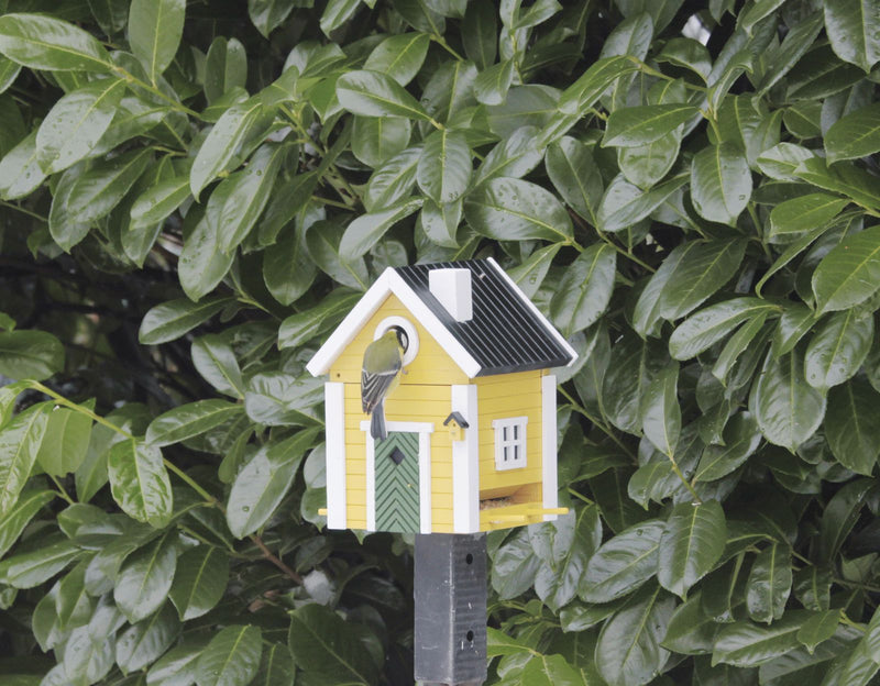 MULTIHOLK VILLA Vogelhaus Futterhaus und Nistkasten Futterstelle Futterplatz Wildvögel Garten Vogel
