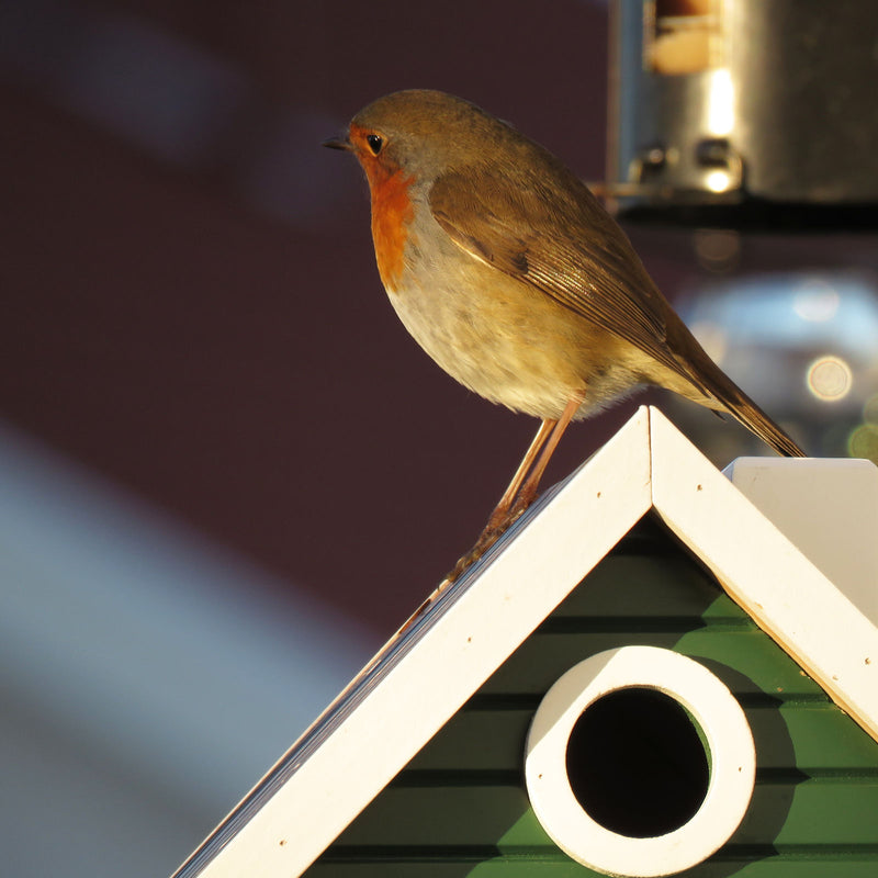 MULTIHOLK Vogelhaus Futterhaus und Nistkasten Futterstelle Futterplatz Wildvögel Garten Vogel