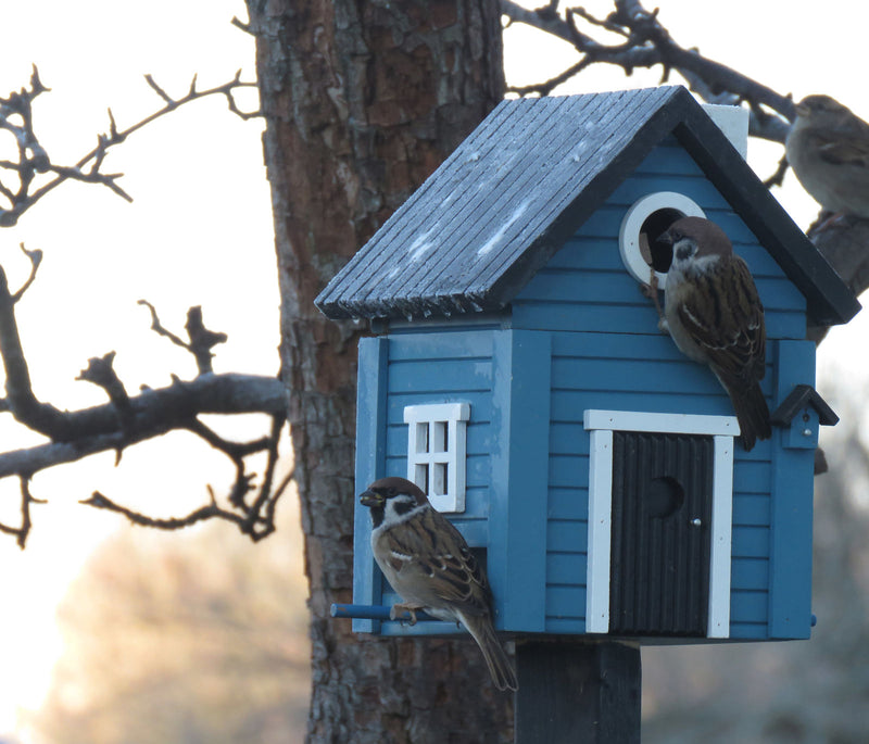 MULTIHOLK Vogelhaus Futterhaus und Nistkasten Futterstelle Futterplatz Wildvögel Garten Vogel