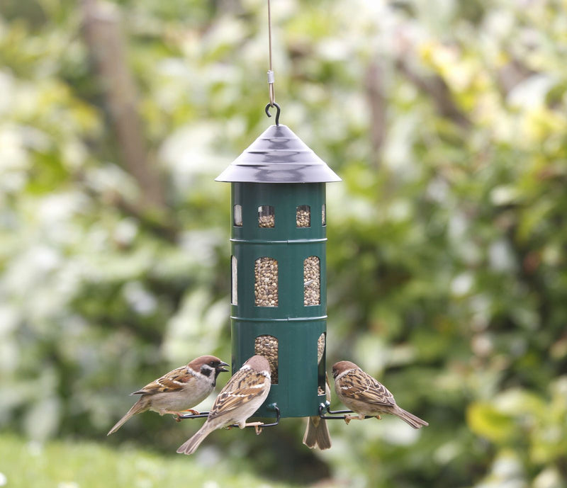 FUTTERSTATION KOMBI SAMEN GRÜN Vogelhaus Futterhaus Futtersilo Futterturm Futtersäule Futterstelle Futterplatz Wildvögel Garten Vogel