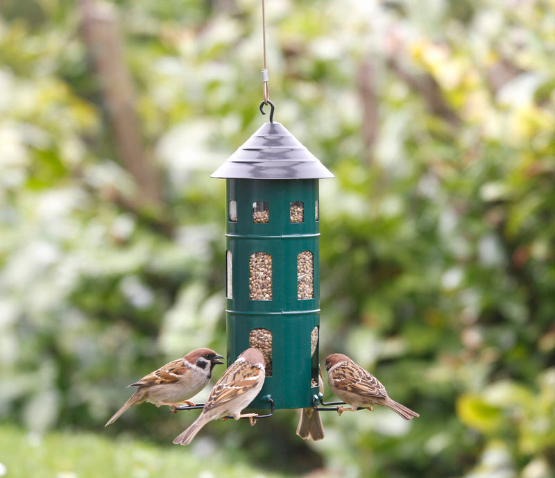 FUTTERSTATION KOMBI SAMEN Vogelhaus Futterhaus Futtersilo Futterturm Futtersäule Futterstelle Futterplatz Wildvögel Garten Vogel