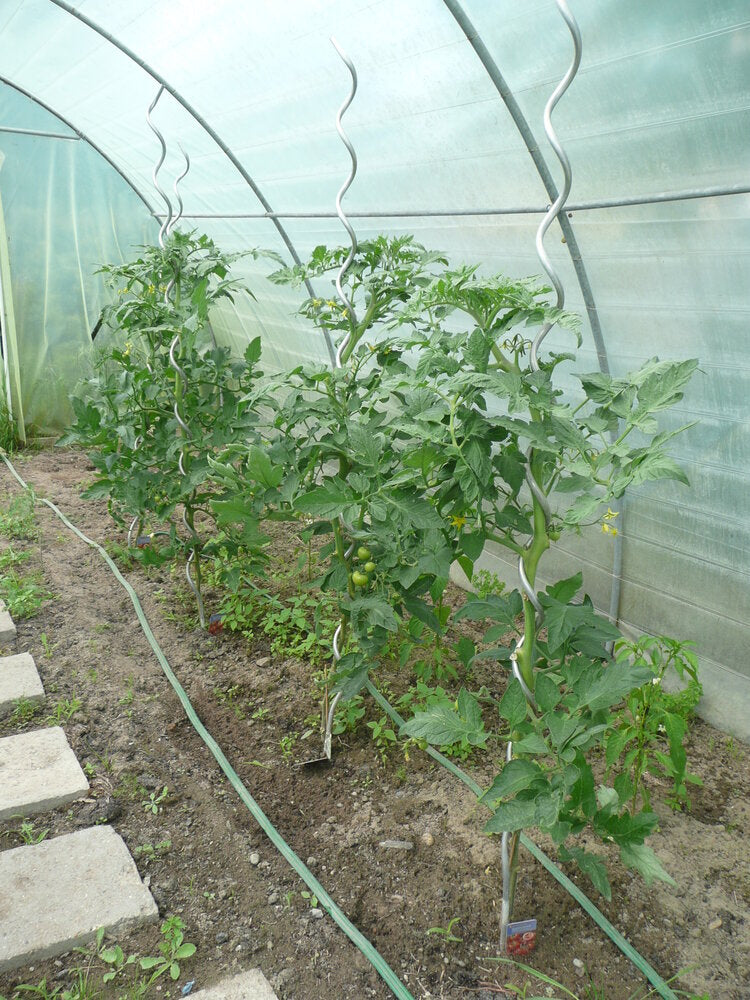 Gitterfolie in 4m Br. Meterware Gewächshausfolie Gartenfolie Tomatenhausfolie