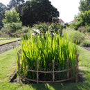 Staudenhalter Staudenbinder halbrund Rankhilfe 70cm breit Eisen braun