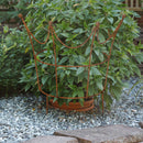 Rankhilfe Krone Rankgerüst Metall Eisen Rost Deko Staudenhalter rund massiv Volleisen