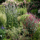 Rankhilfe Krone Rankgerüst Metall Eisen Rost Deko Staudenhalter rund massiv Volleisen