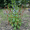 Rankhilfe Krone Rankgerüst Metall Eisen Rost Deko Staudenhalter rund massiv Volleisen