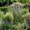 Rankhilfe Krone Rankgerüst Metall Eisen Rost Deko Staudenhalter rund massiv Volleisen